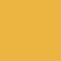 Owala FreeSip Gourde Isotherme en Acier Inoxydable C05529