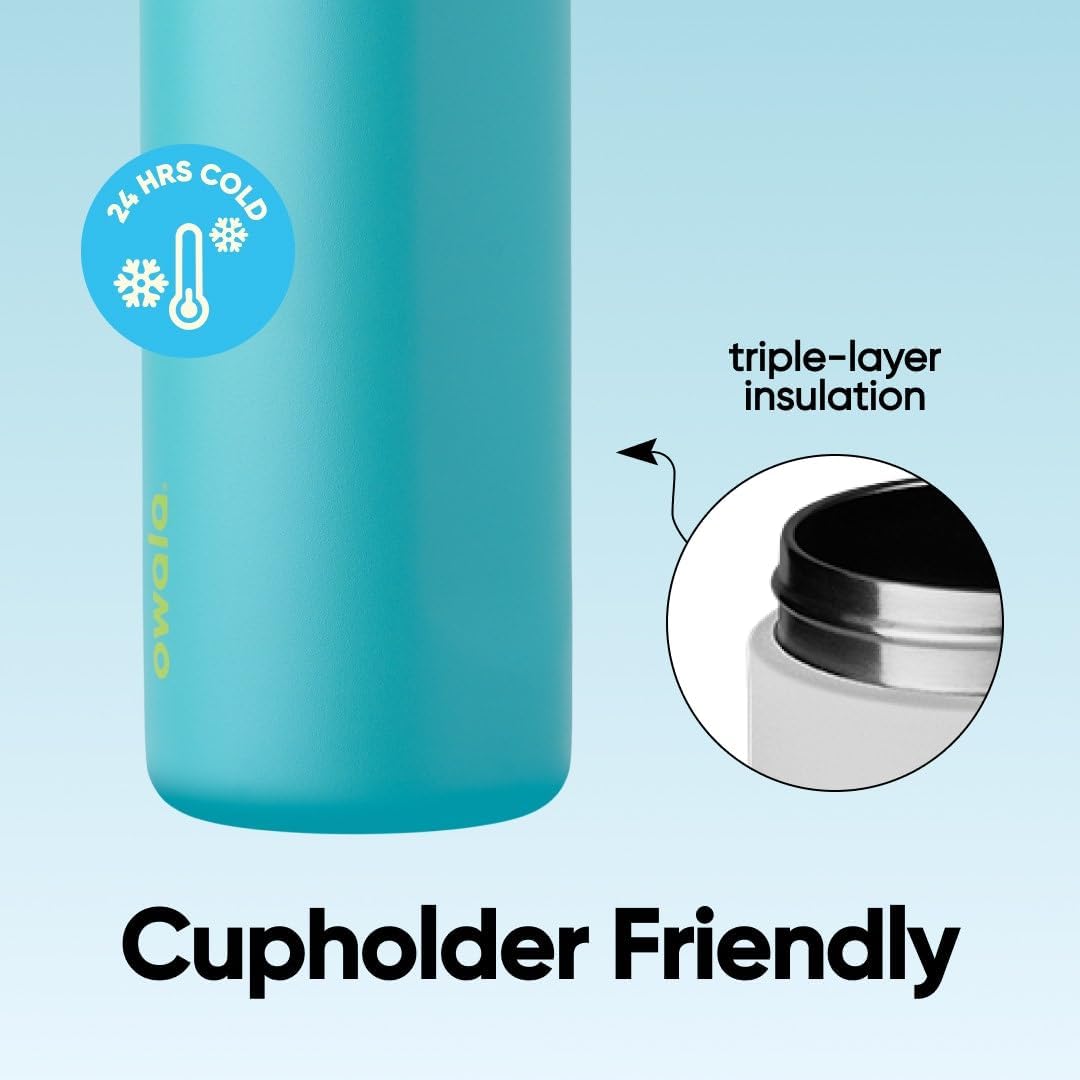 24 oz FreeSip Insulated Stainless Steel Water Bottle with Straw BPA-Free Summer Sweetness
