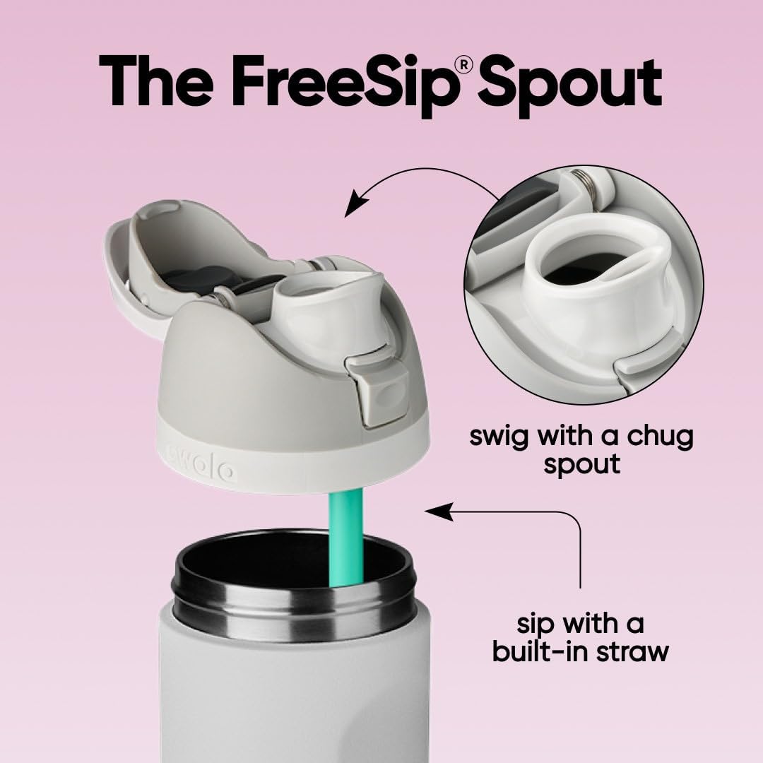 Owala FreeSip Gourde Isotherme en Acier Inoxydable C06156