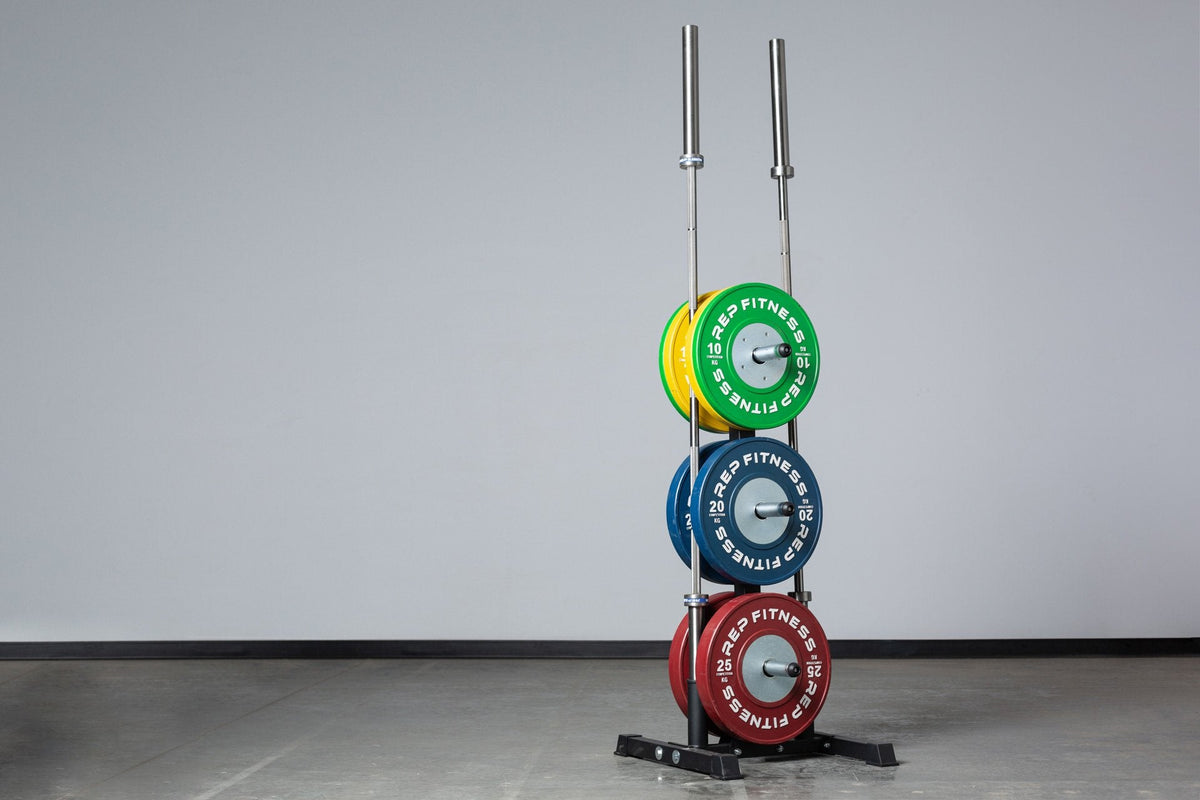 REP Fitness Arbre de Rangement pour Barres et Poids