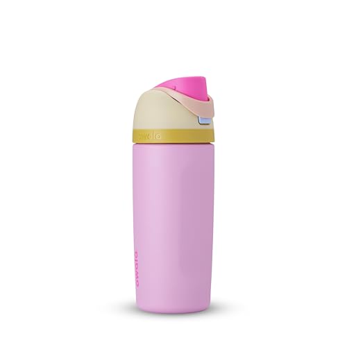 FreeSip Insulated Stainless Steel Water Bottle 24 oz with Locking Push-Button Lid