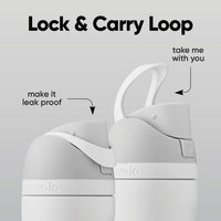 FreeSip Insulated Stainless Steel Water Bottle 24 oz with Locking Push-Button Lid