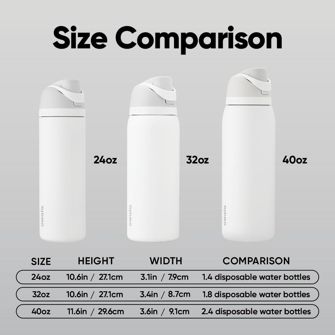 FreeSip Insulated Stainless Steel Water Bottle 24 oz with Locking Push-Button Lid