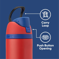 FreeSip Insulated Stainless Steel Water Bottle 24 oz with Straw and Locking Push-Button Lid