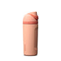 FreeSip Insulated Stainless Steel Water Bottle with Straw BPA-Free 24 oz