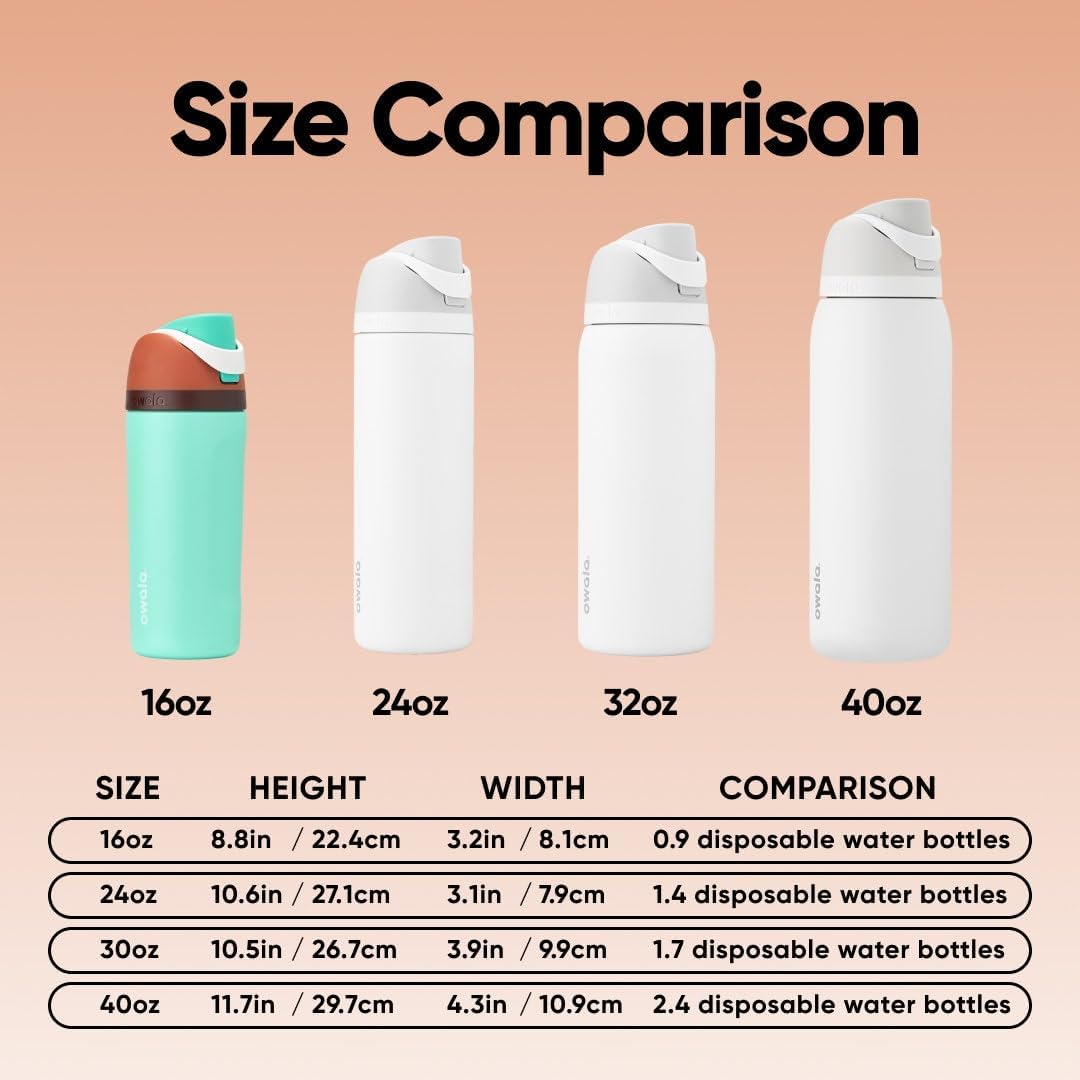 FreeSip Insulated Stainless Steel Water Bottle with Straw BPA-Free 24 oz